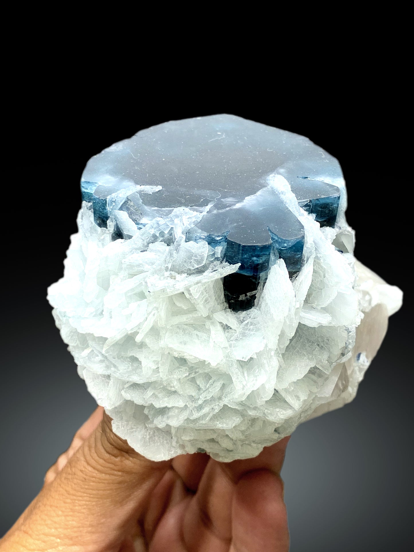 Blue Cap Tourmaline on Cleavelandite Albite and Quartz from Paprok Afghanistan - 455 gram