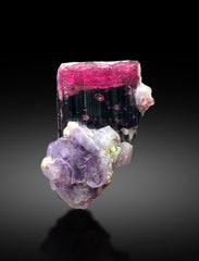 Ultra Rare Purple Apatite on Pink Cap Tourmaline from Paprok Afghanistan - 49 gram