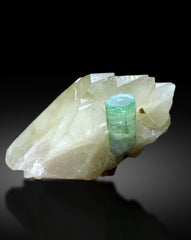 Ceafoam Color Tourmaline Crystal on Quartz from Afghanistan - 1239 gram