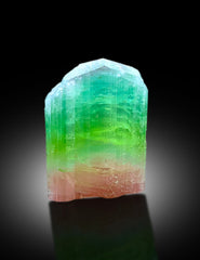 Natural Tricolor Tourmaline Crystal from Paprok Afghanistan - 43 gram