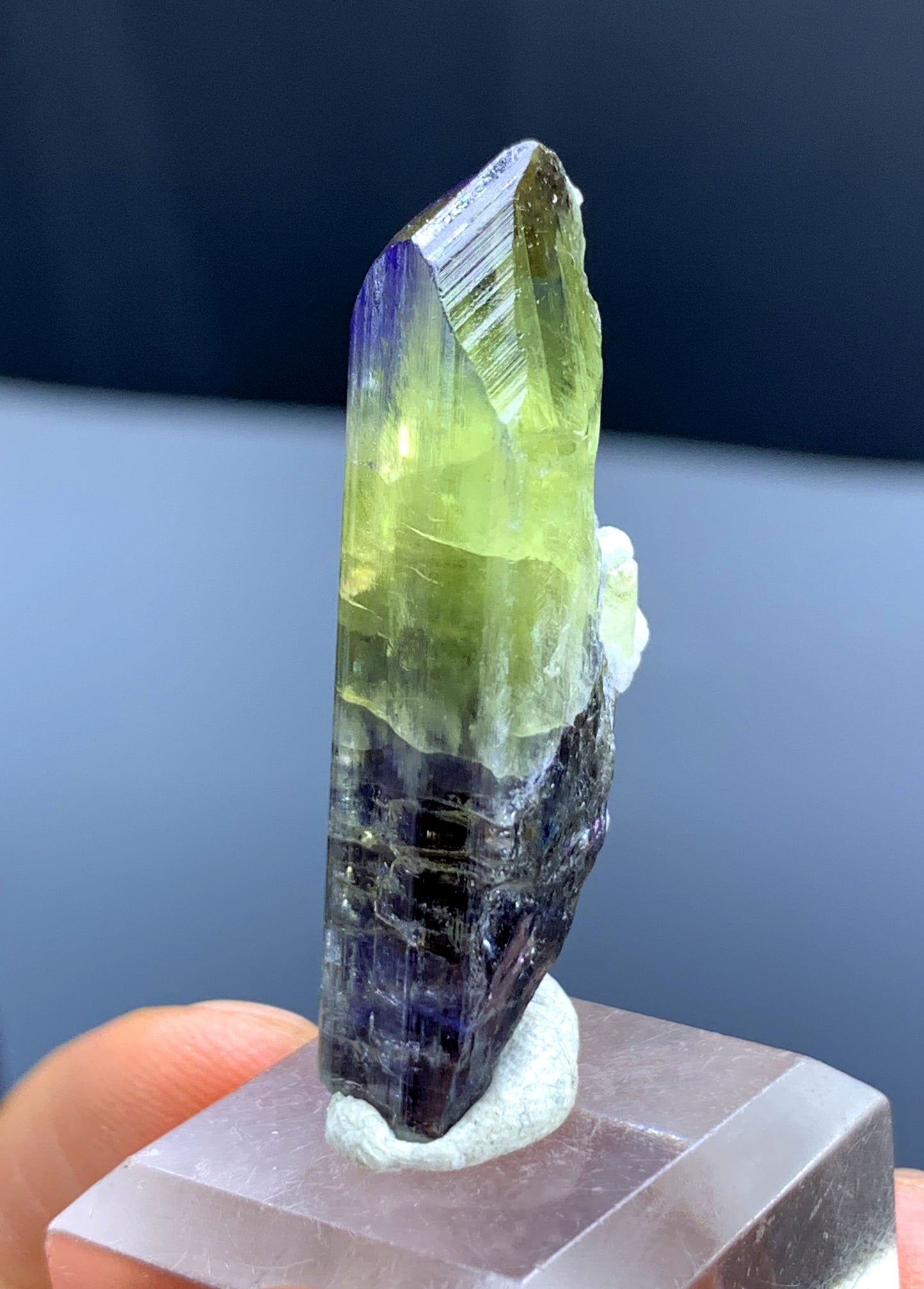 Natural Bicolor Tanzanite Crystal from Tanzania - 43.80 cts