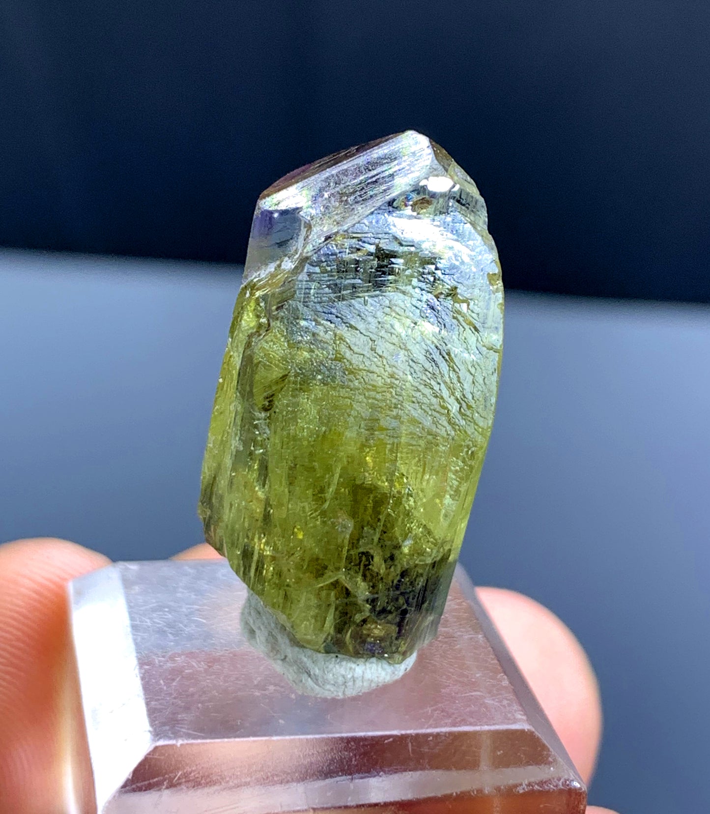 Natural Bicolor Tanzanite Crystal from Tanzania - 42.17 cts