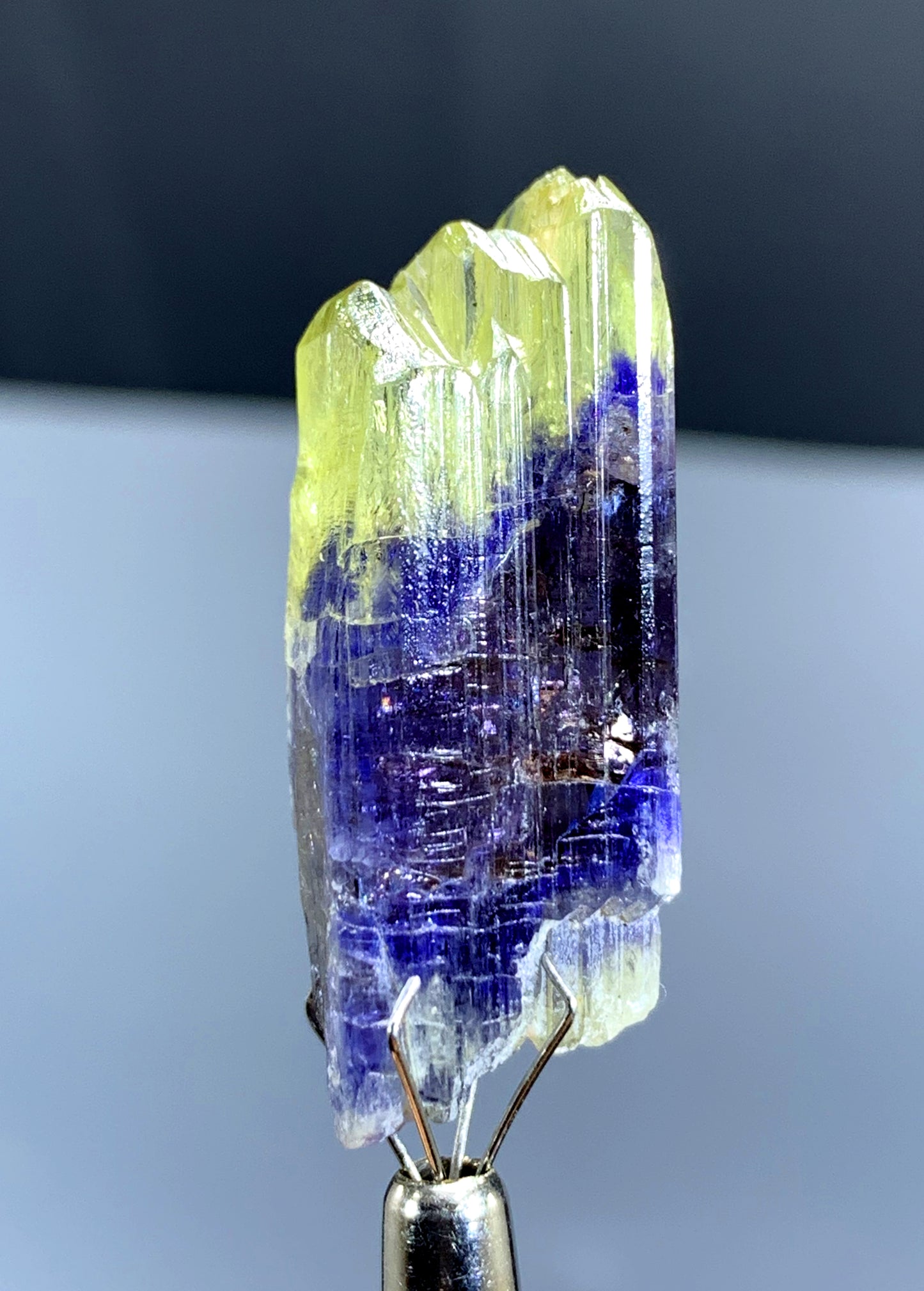 Natural Bicolor Tanzanite Crystal from Tanzania - 36.75 cts