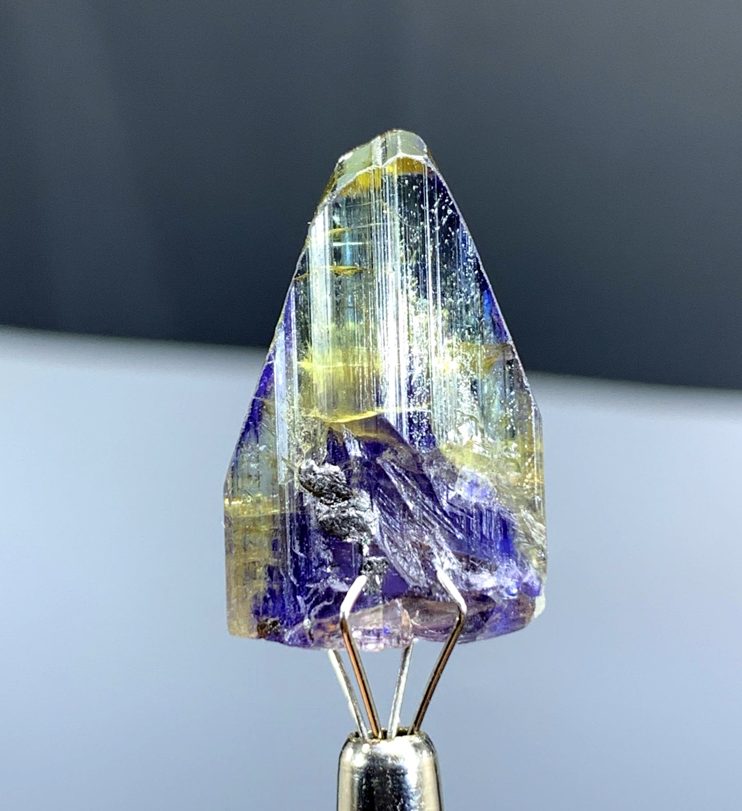 Natural Bicolor Tanzanite Crystal from Tanzania - 23.95 cts
