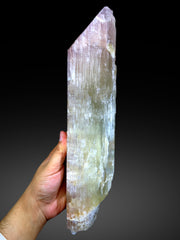 Bicolor Spodumene Kunzite Crystal from Afghanistan - 2558 gram