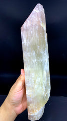 Bicolor Spodumene Kunzite Crystal from Afghanistan - 2558 gram