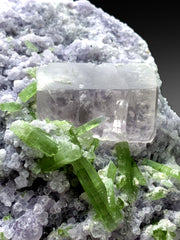 Pink Morganite with Green Tourmalines on Lepidolite from Afghanistan - 785 gram