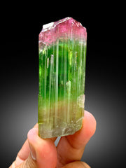 Stunning Bicolor Tourmaline Crystal from Paprok Afghanistan - 105 gram