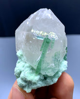Green Tourmaline Crystals on Quartz from Afghanistan - 62 gram
