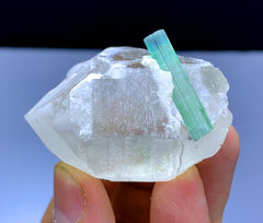 Bluish Green Tourmaline Crystal on Quartz from Afghanistan - 68 gram