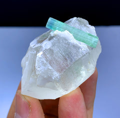 Bluish Green Tourmaline Crystal on Quartz from Afghanistan - 68 gram