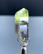 Natural Bicolor Tanzanite Crystal from Tanzania - 22.90 cts