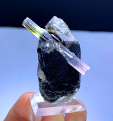 Cotton Candy Bicolor Tourmaline on Smoky Quartz from Afghanistan - 28 gram