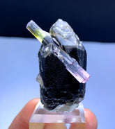 Cotton Candy Bicolor Tourmaline on Smoky Quartz from Afghanistan - 28 gram