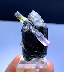 Cotton Candy Bicolor Tourmaline on Smoky Quartz from Afghanistan - 28 gram