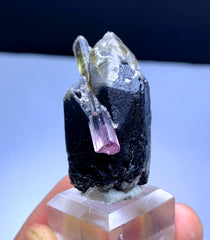 Cotton Candy Bicolor Tourmaline on Smoky Quartz from Afghanistan - 28 gram