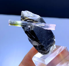 Cotton Candy Bicolor Tourmaline on Smoky Quartz from Afghanistan - 28 gram
