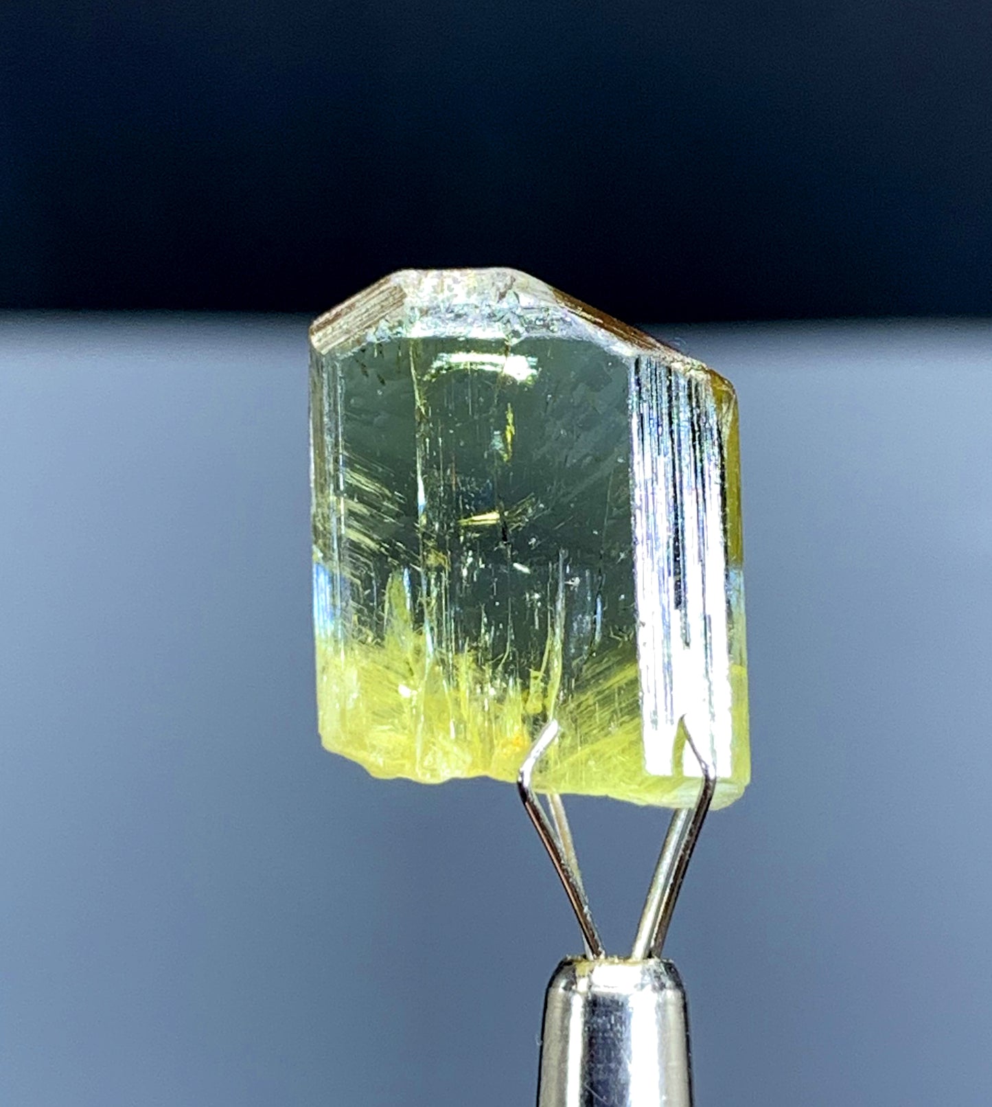 Natural Bicolor Tanzanite Crystal from Tanzania - 19.55 cts