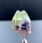 Natural Bicolor Tanzanite Crystal from Tanzania - 25.16 cts