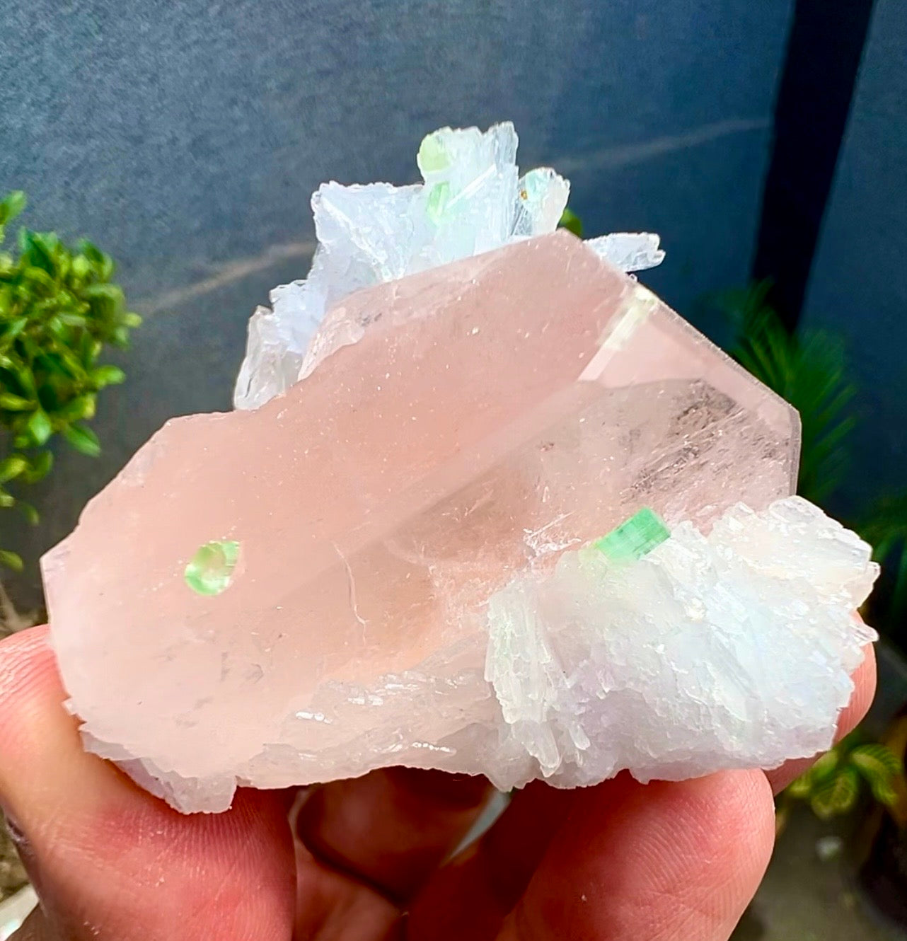 Peach Pink Morganite with Tourmaline and Albite from Afghanistan - 74 Grams