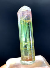 Bicolor Lipstick Tourmaline Crystal from Paprok Afghanistan - 14.66 carats