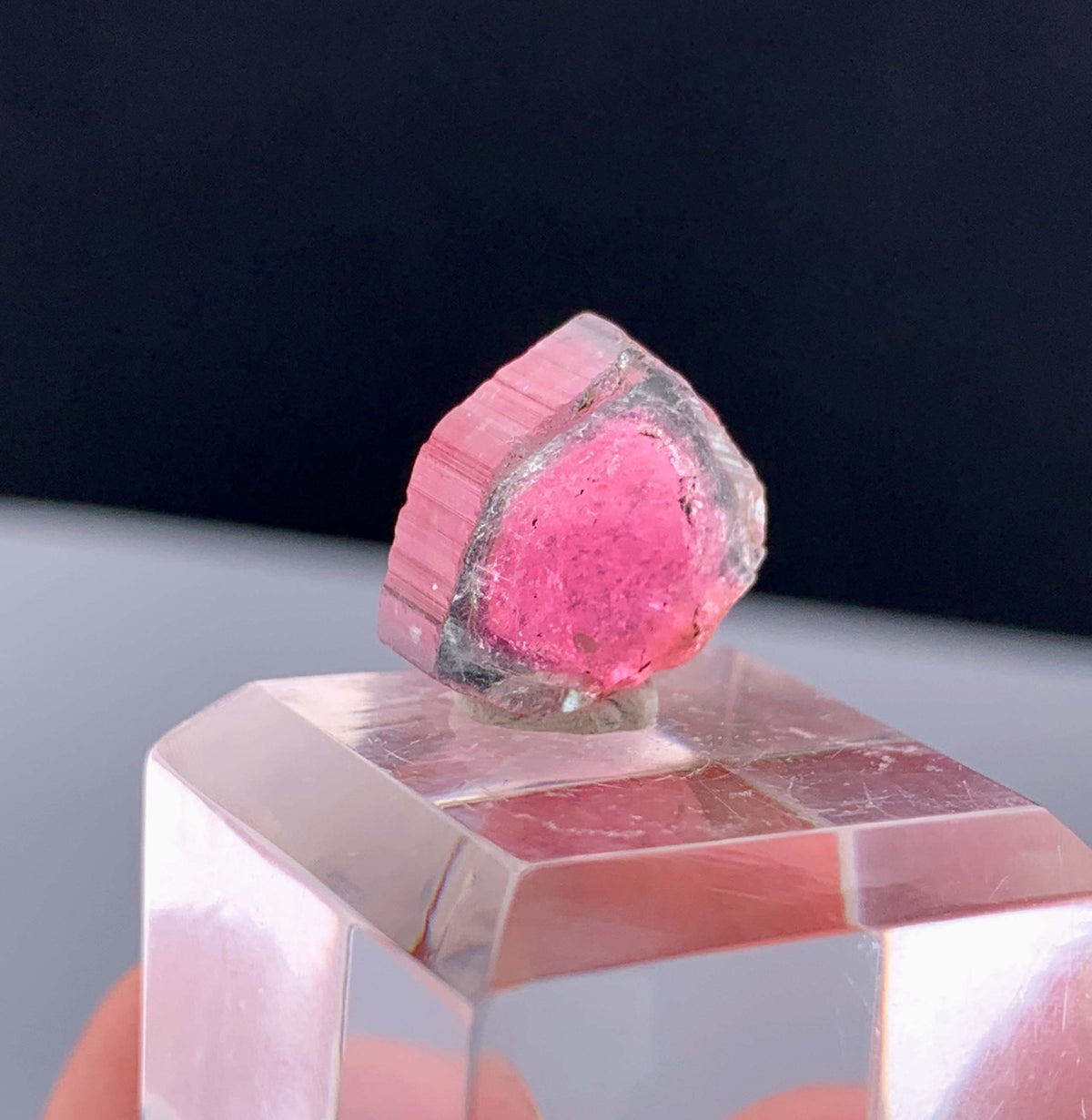 Watermelon Tourmaline Slice from Afghanistan - 7.50 Carats