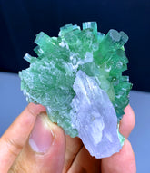 Green Tourmaline Cluster on Kunzite from Afghanistan - 52 gram