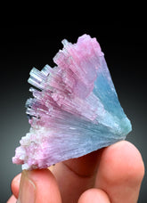 Cotton Candy Tourmaline Bunch, Tourmaline Cluster, Raw Mineral, Tourmaline Specimen - 46 gram