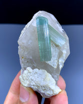 Bluish Green Tourmaline Crystals on Quartz from Afghanistan - 78 gram