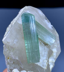 Bluish Green Tourmaline Crystals on Quartz from Afghanistan - 78 gram
