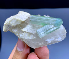 Bluish Green Tourmaline Crystals on Quartz from Afghanistan - 78 gram