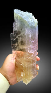 Natural Tricolor Kunzite Crystal from Nuristan Afghanistan - 1625 gram