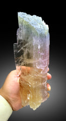 Natural Tricolor Kunzite Crystal from Nuristan Afghanistan - 1625 gram