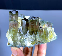 Bicolor Tourmaline Crystals on Albite from Afghanistan - 294 gram