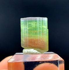 Natural Tricolor Tourmaline Crystal from Paprok Afghanistan - 32.20 carats