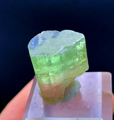Natural Tricolor Tourmaline Crystal from Paprok Afghanistan - 32.20 carats