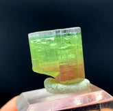 Natural Tricolor Tourmaline Crystal from Paprok Afghanistan - 32.20 carats