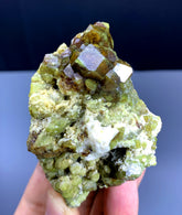 Natural Andradite Garnet Crystals on Matrix from Pakistan - 189 gram