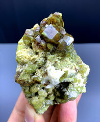 Natural Andradite Garnet Crystals on Matrix from Pakistan - 189 gram