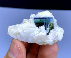 Blue Cap Tourmaline on Cleavelandite Albite from Pakistan - 28 gram