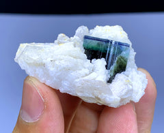 Blue Cap Tourmaline on Cleavelandite Albite from Pakistan - 28 gram