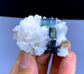 Blue Cap Tourmaline on Cleavelandite Albite from Pakistan - 66 gram