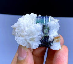 Blue Cap Tourmaline on Cleavelandite Albite from Pakistan - 66 gram