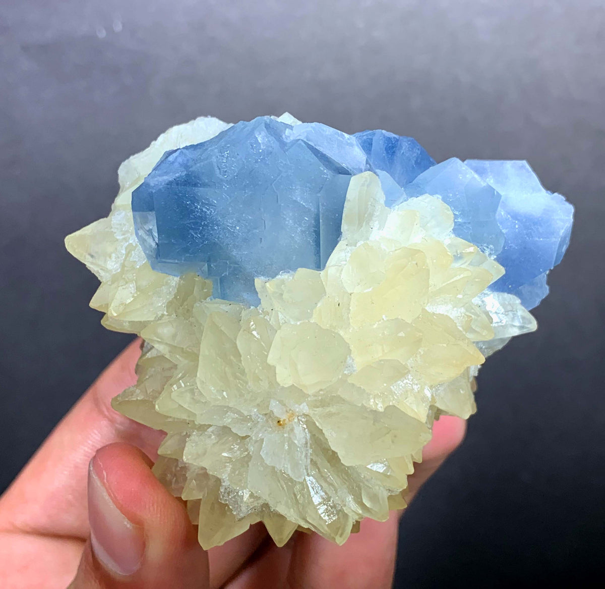 Blue Celestine Crystal on Yellow Calcite From Afghanistan - 170 Grams