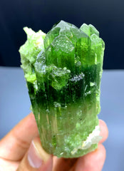 Natural Bicolor Tourmaline Crystal from Paprok Afghanistan - 135 gram