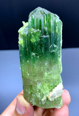 Natural Bicolor Tourmaline Crystal from Paprok Afghanistan - 135 gram