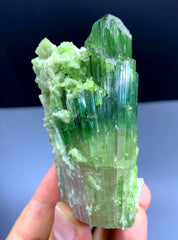 Natural Bicolor Tourmaline Crystal from Paprok Afghanistan - 135 gram