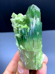 Natural Bicolor Tourmaline Crystal from Paprok Afghanistan - 135 gram