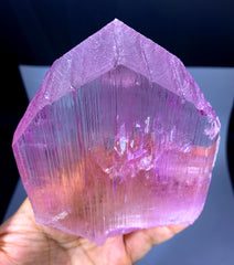 v Shape Terminated Pink Kunzite Crystal from Afghanistan - 520 gram