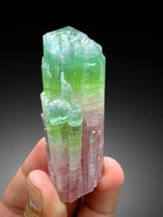 Stunning Bicolor Tourmaline Crystal from Paprok Afghanistan - 122 gram